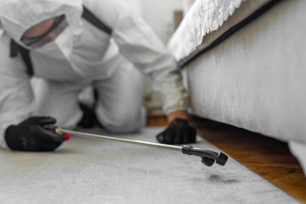 Professional Bed Bug Control technician working in Poplarville, MS