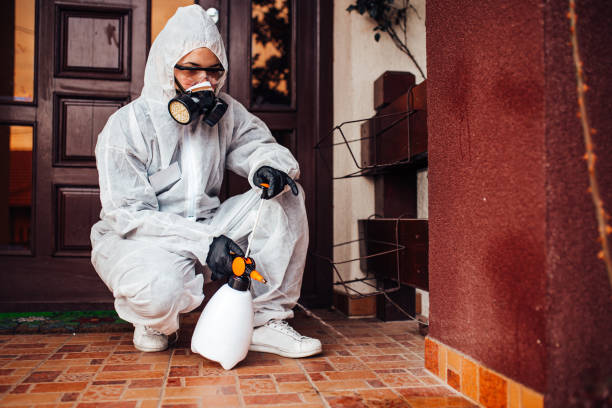 Reliable Bed Bug Control contractor in Poplarville, MS by Nex Pest Control
