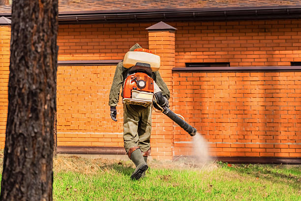 Top rated local Bed Bug Control specialists in Poplarville, MS